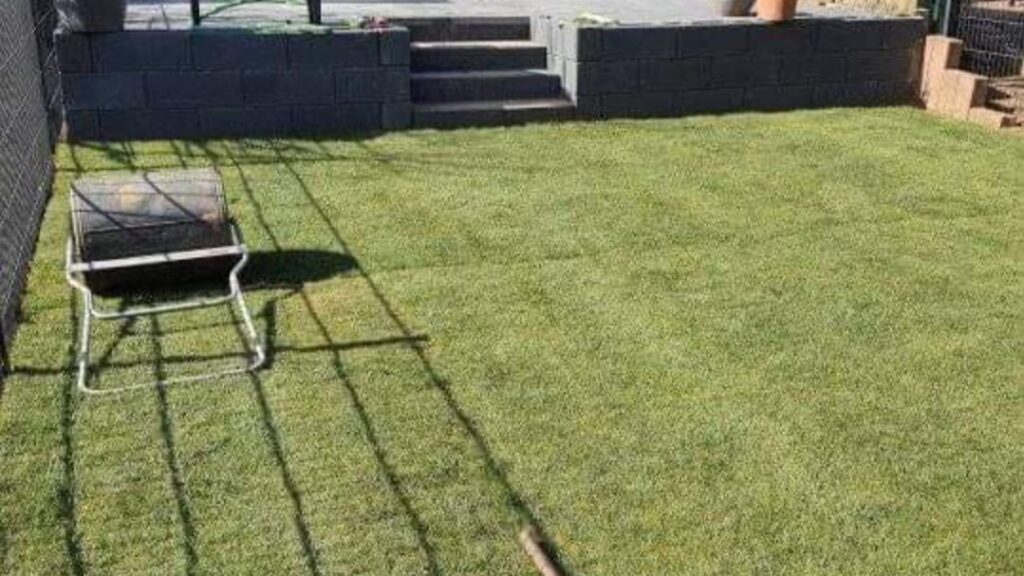 Instagram post from diamondgartenbau. This post is in position 2.